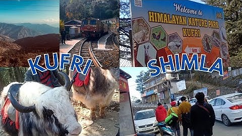 Shimla Kufri 3KM Trek 🏔️ Full Masti, Adventure & Snow Fun | Hidden Beauty of Himachal Revealed 