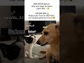 Bahen #memes #popular #viral #funnymemes #tweetreels #bahen #gajarkahalwa