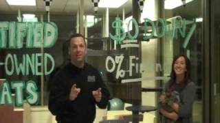Michigan Humane Society Certified Pre-owned Cats