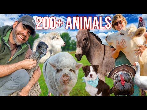 Raising Over 200