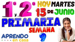 APRENDO EN CASA 1 Y 2 PRIMARIA 15 DE JUNIO HOY MARTES PRIMERO SEGUNDO GRADO SEMANA 9 TV PERU 1RO 2DO