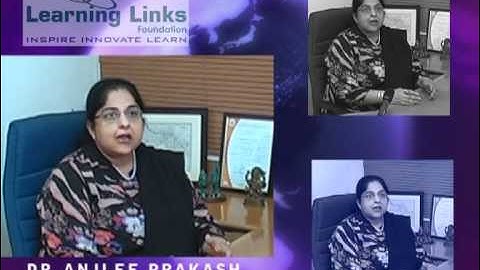 Learning Links Foundation