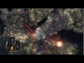 когда пинок работает как надо Dark souls 3