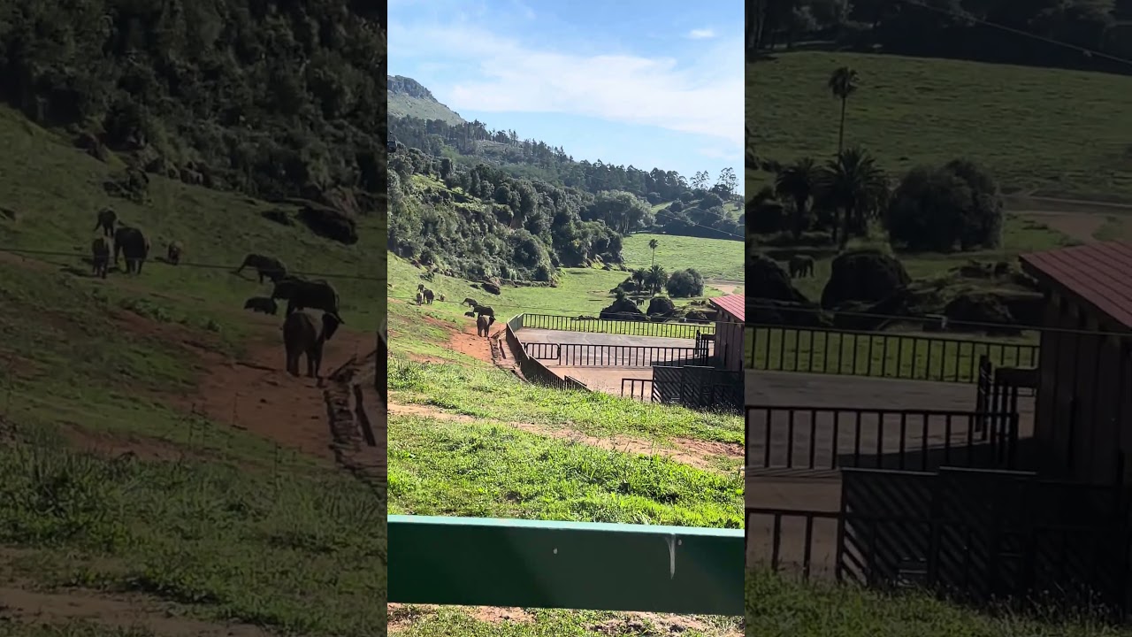 Cabarceno 🐘🐘🇪🇸😍