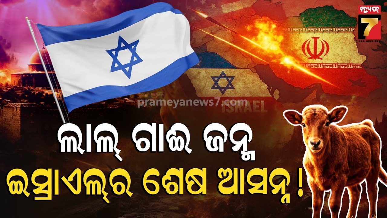 ଇସ୍ରାଏଲରେ ଏକ ଲାଲ ଗାଈର ଜନ୍ମ ଯୋଗୁ ଆତଙ୍କ, ଏହା ବିଶ୍ୱ ଧ୍ୱଂସ ହେବର ଶେଷ ସଙ୍କେତ କି ?  Middle East conflict..