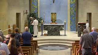 15th Sunday in Ordinary Time - July 12, 2026