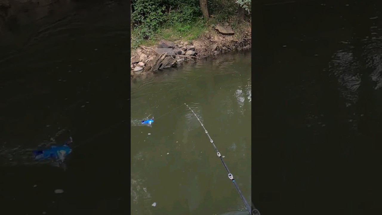 Catching A Super Rare Fish On A Legendary Pokemon