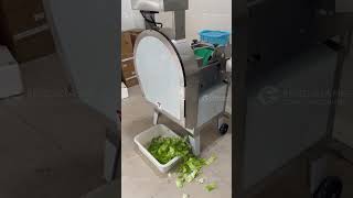Fast Lettuce Cutting Machine FC-306 🥬 (1000-2000kg/h)