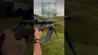 200 Yard Magpie With .17Hmr Browning T-Bolt