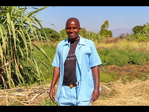 SIHI Innovation 2018 // Kaundu Community-based Health Insurance Initiative, Malawi