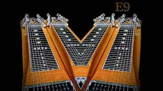 C6-E9 “UNITY”  Steel Guitar 