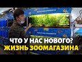 Что у нас происходит? МЫ МЕНЯЕМСЯ!