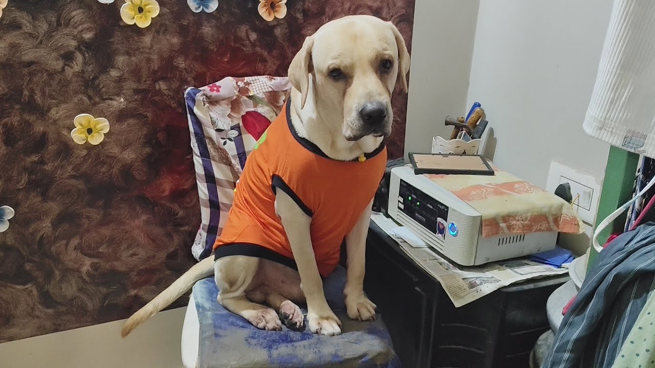 Coffee jhule jhule bins khache