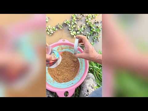 Ký sự cần thủ T24