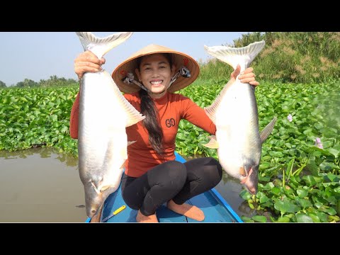 91 / Vân nguyễn thu phục cá tra khủng sông Cái Bé | Fishing