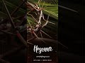Hosanna Status Video | Palm Sunday Status Video | Keys Band | ഹോശാനാ