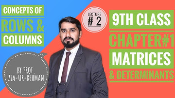 ROWS & COLUMNS | Urdu & Hindi 9th Class | CH#1 | Matrices & Determinants | URDU HINDI