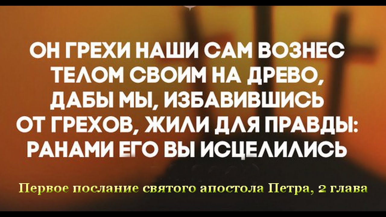 Безгрешно жить. Он грехи наши сам вознес телом своим на Древо. Ранами его вы исцелились. Ранами его мы исцелились. Грехи наши.