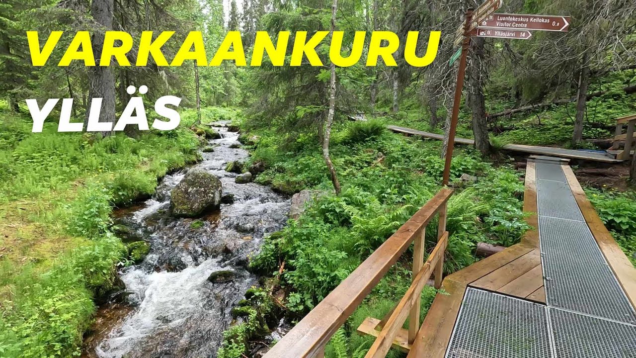 Lappi Pallas-Yllästunturin kansallispuisto @KorpiTiimi