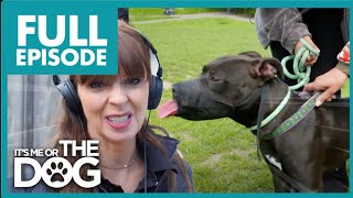 Owner wants to Give Away 'BEAST' Dog! | Full Episode | It's Me or the Dog by It's Me or the Dog 48,773 views 3 days ago 19 minutes