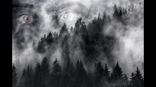 zero-project - Gothic (2020)