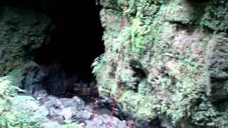 Abseiling into a sinkhole in the Puerto Rico forest.