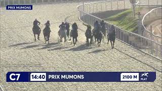 Vidéo de la course PMU PRIX MUMONS