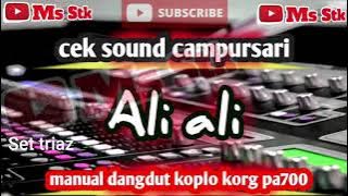 cek sound campursari ali ali dangdut koplo