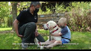All 7 Dog Guides Programs