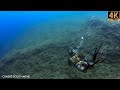 CHASSE SOUS MARINE Apnée Poulpe poisson Méditerranée - Techniques Peche sous marine hiver 2024