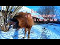 Некоторые факты о Кузьке // Жизнь на хуторе