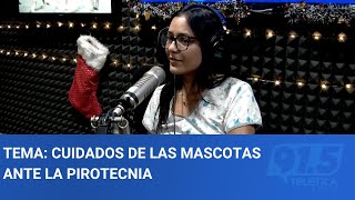 Tema Cuidados De Las Mascotas Ante La Pirotecnia