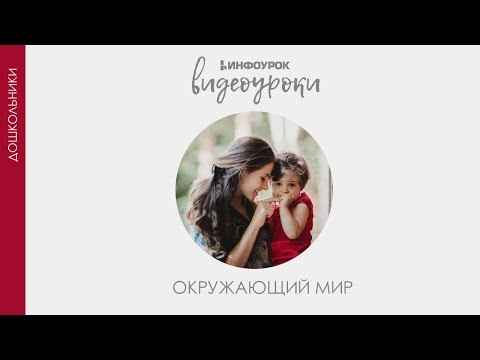Город. Деревня | Дошкольники | Окружающий мир #3 | Инфоурок