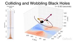 Colliding and Wobbling Black Holes