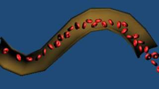 Realtime Blood flow simulation in Blender Game Engine