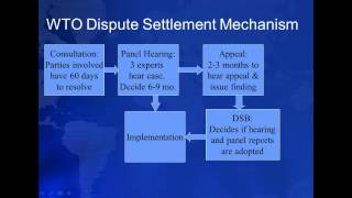 4.6 Institutions of Global Development: The WTO