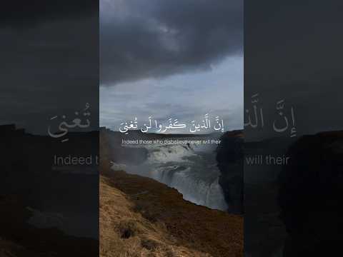 إن الذين كفروا لن تعنى عنهم القارئ عبدالرحمن مسعد     اكسبلور لايك