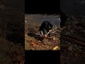 ❄️ Building a Secret Winter Shelter in the Wilderness 🌲 Hidden Survival Cabin | Bushcraft Skills 🛠️