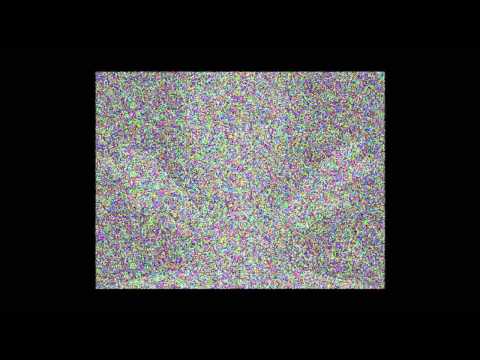 Rare Weeping Pegasus footage