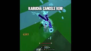 The Best Combo In Bloxfruits