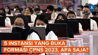 5 Instansi yang Buka CPNS 2023, Formasi Apa Saja?