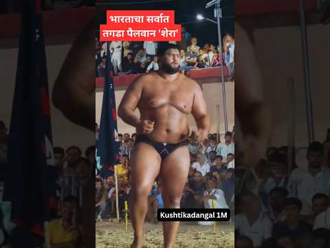 भारताचा सर्वात तगडा पैलवान 'शेरा' #shorts #shortsfeed #viral #trending #kushti #wrestling #kusti