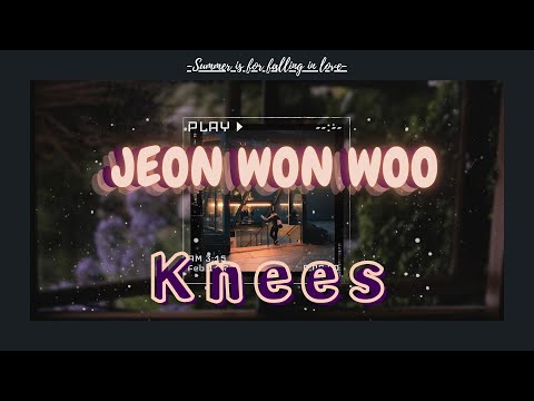 « Vietsub » Knees cover by WONWOO (Original by: IU)