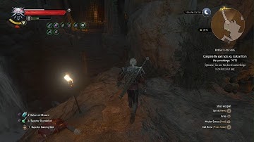 The Witcher 3 Metamorphosis build