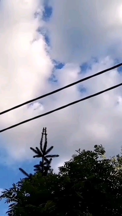 15 мая 2024_Новогорбово д-я, уч.10_электричество дачи_тариф 4,71 # ...