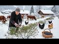 Um Dia de Inverno no Campo – Colhendo Mirtilos Silvestres e Cuidando do Gado Longhorn