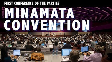 Minamata Convention on Mercury