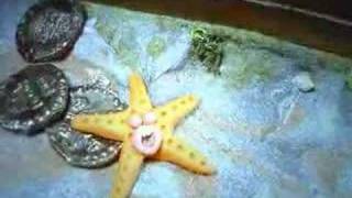 Starfish