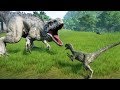 INDOMINUS REX Vs ALL CARNIVORE DINOSAURS - Jurassic World Evolution