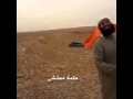خمسة فرفشة 